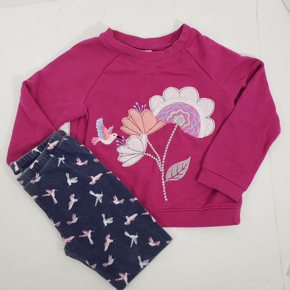 Gymboree Hummingbird Sweatshirt Legging Set 5T